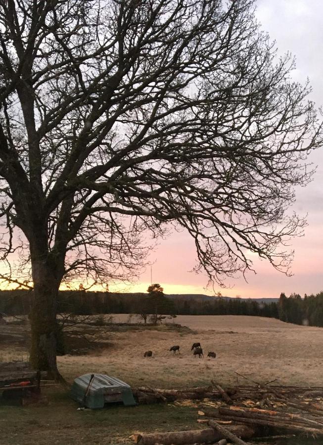 Stuga Vid Viltaker Naera Norska Graensen Strömstad المظهر الخارجي الصورة